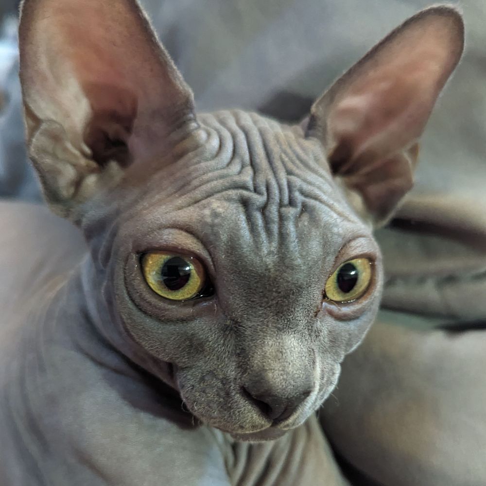 Artwork preview five